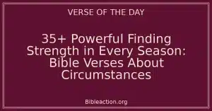 35+ Powerful Finding Strength in Every Season: Bible Verses About Circumstances