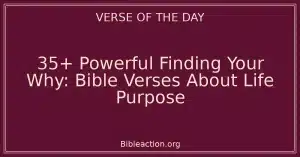 35+ Powerful Finding Your Why: Bible Verses About Life Purpose