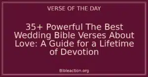35+ Powerful The Best Wedding Bible Verses About Love: A Guide for a Lifetime of Devotion