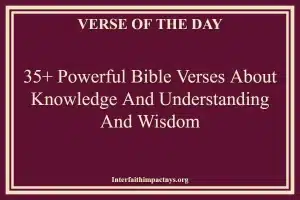 35+ Powerful Bible Verses About Knowledge And Understanding And Wisdom