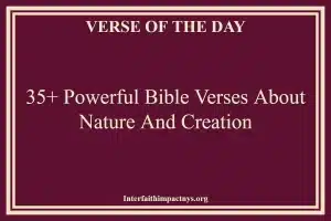 35+ Powerful Bible Verses About Nature And Creation