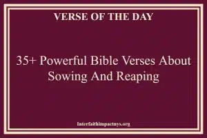 35+ Powerful Bible Verses About Sowing And Reaping