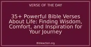 35+ Powerful Bible Verses About Life: Finding Wisdom, Comfort, and Inspiration for Your Journey