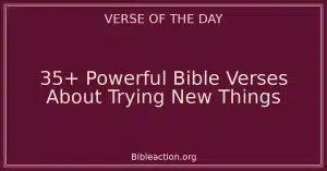 35+ Powerful Bible Verses About Trying New Things