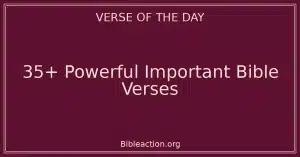 35+ Powerful Important Bible Verses