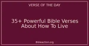 35+ Powerful Bible Verses About How To Live
