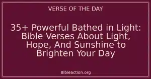35+ Powerful Bathed in Light: Bible Verses About Light, Hope, And Sunshine to Brighten Your Day