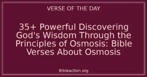 35+ Powerful Discovering God's Wisdom Through the Principles of Osmosis: Bible Verses About Osmosis