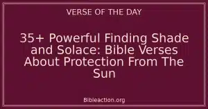 35+ Powerful Finding Shade and Solace: Bible Verses About Protection From The Sun