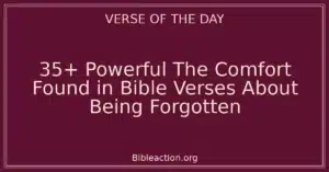 35+ Powerful The Comfort Found in Bible Verses About Being Forgotten